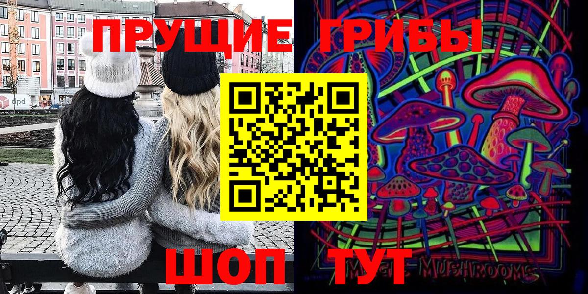Псилоцибиновые грибы Cubensis Гуково