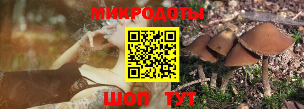 Псилоцибиновые грибы Cubensis  Вход с VPN  Псилоцибиновые грибы Psilocybe  где купить наркоту  Гуково 