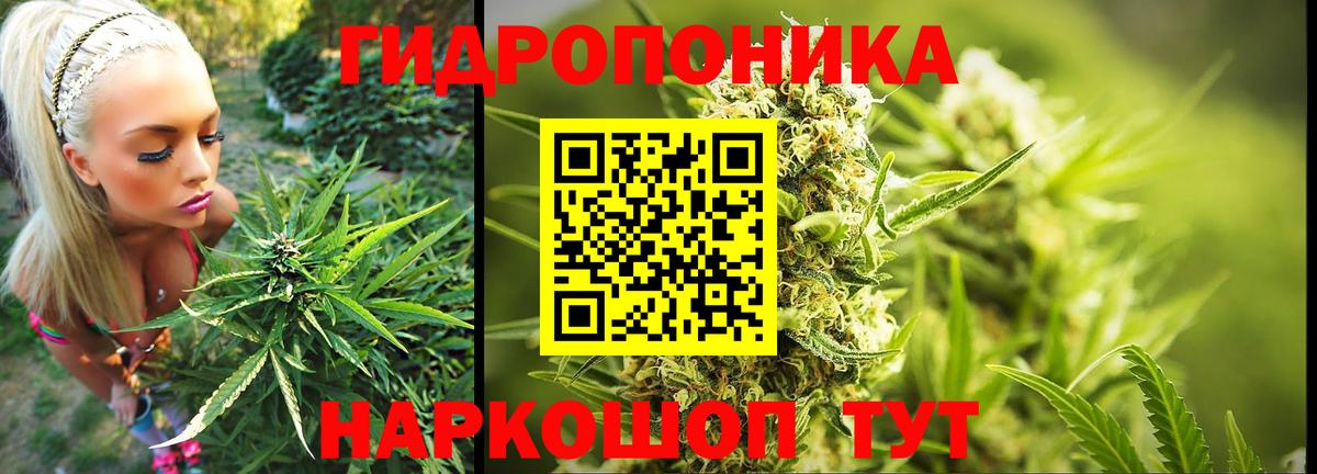 Гуково  Бошки Шишки SATIVA & INDICA  Марихуана тримм  Вход с VPN  Бошки марихуана THC 21% 